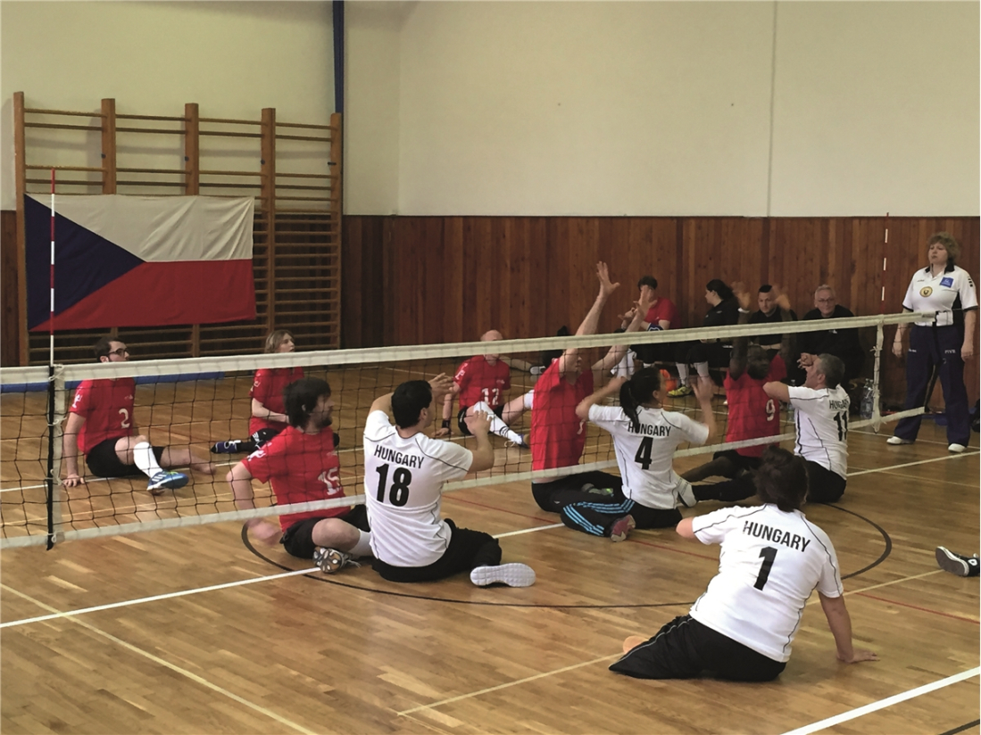 Sitting Volleyball Court Set