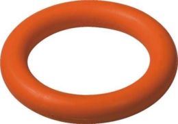 Ringette-Ring