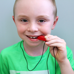 ARK's Brick Stick Chew Necklace